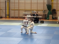 Mistrzostwa Śląska Kata (2026) Pawłowice