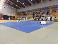 Mistrzostwa Śląska Kata (2026) Pawłowice