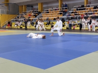 Mistrzostwa Śląska Kata (2026) Pawłowice