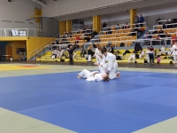 Mistrzostwa Śląska Kata (2026) Pawłowice