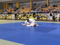 Mistrzostwa Śląska Kata (2026) Pawłowice