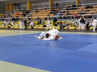 Mistrzostwa Śląska Kata (2026) Pawłowice