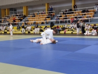 Mistrzostwa Śląska Kata (2026) Pawłowice