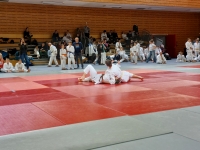 Puchar Polski Judo Kata (2026) Gdańsk