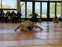 Otwarte Międzynarodowe Mistrzostwa Węgier Judo Kata (2026) Cegléd (Węgry)