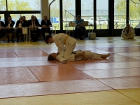 Otwarte Międzynarodowe Mistrzostwa Węgier Judo Kata (2026) Cegléd (Węgry)