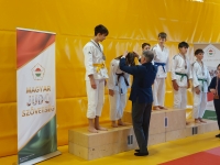 Otwarte Międzynarodowe Mistrzostwa Węgier Judo Kata (2026) Cegléd (Węgry)